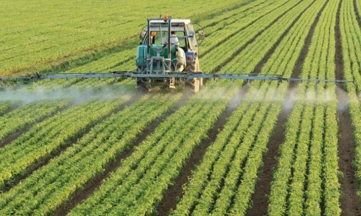 Андижанская область сохраняет первое место по дехканским хозяйствам