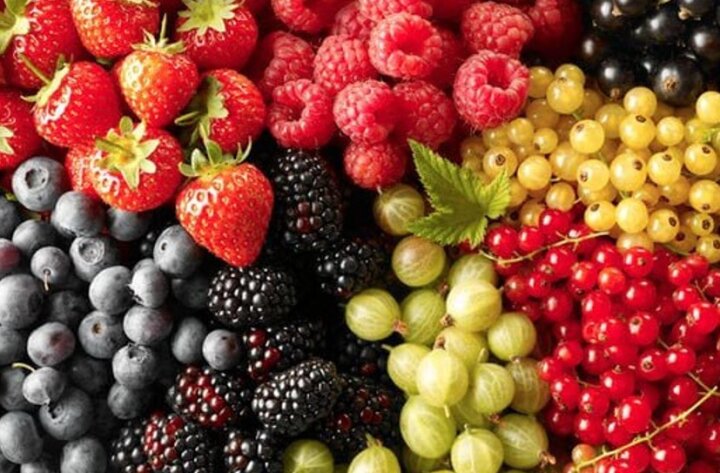 Почти 20% выращенных плодов и ягод страны приходятся на Андижан