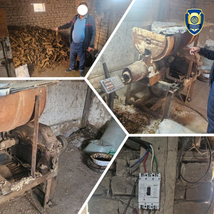 Ранее судимый житель Бекабада незаконно производил хлопковое масло