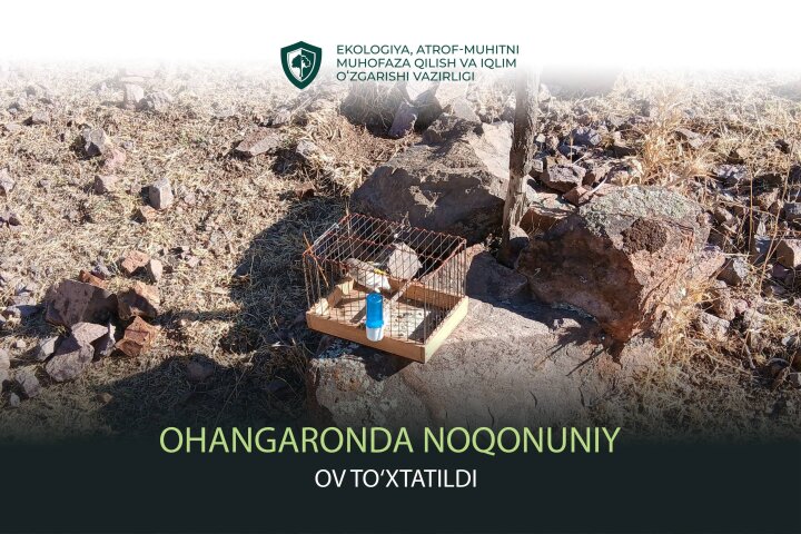 Экологи Ташкентской области выявили незаконную ловлю диких птиц