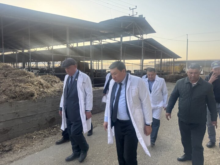 Рабочая группа Сената оценила развитие молочного животноводства в Самарканде