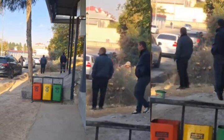 В Ташкенте вновь рубят деревья