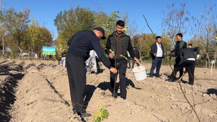 В Узбекистане высадят 80 тыс. деревьев в честь 80-летия ЮНЕСКО