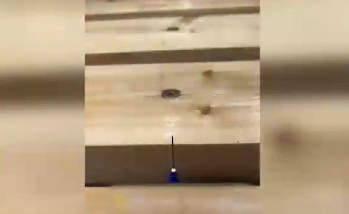 Двое жителей Ташкента пытались посеять панику среди населения