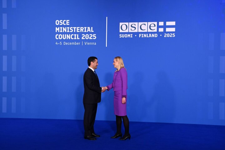 На Совете ОБСЕ Узбекистан отметил трансформацию Центральной Азии