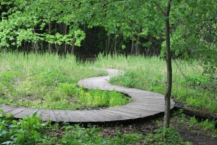 Экотерритории Узбекистана получат организованные туристические тропинки