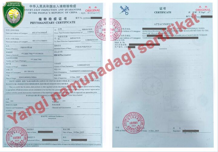 В Узбекистане объяснили проверки грузов из Китая на границе