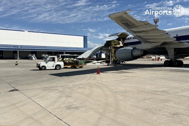 Из-за тумана в аэропортах Узбекистана, самолёты были вынуждены лететь на запасные аэродромы