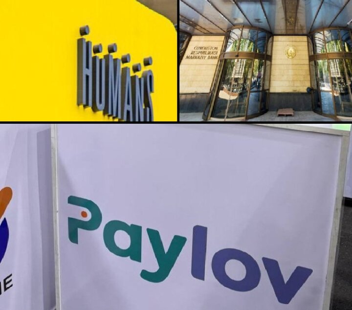 Humans и Paylov обвиняют друг друга в допущенной краже денежных средств жителей Узбекистана