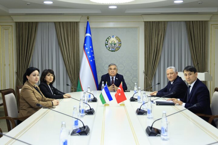 Узбекистан и Турция обсудили парламентский контроль