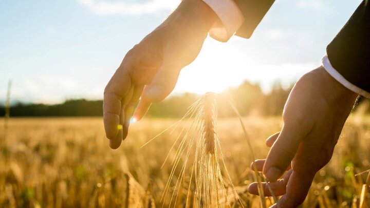 В Узбекистане определен статус Фонда сельхозстрахования