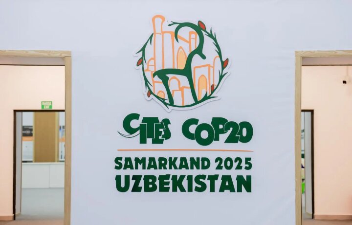 После Самарканда следующая конференция CITES CoP21 пройдёт в Панаме