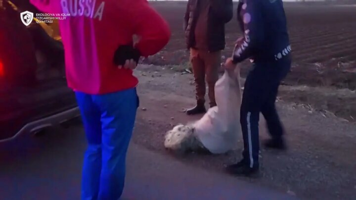 Рядом с Ташморем выявили браконьеров