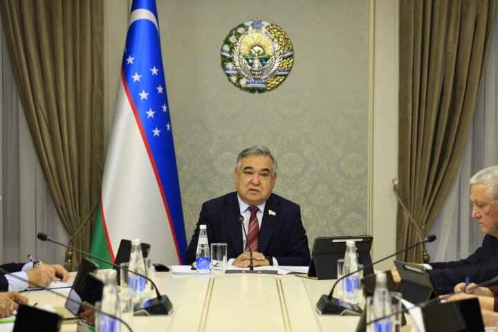 Сенат Узбекистана подвел итоги 2025 года по внешнеэкономическим связям и туризму