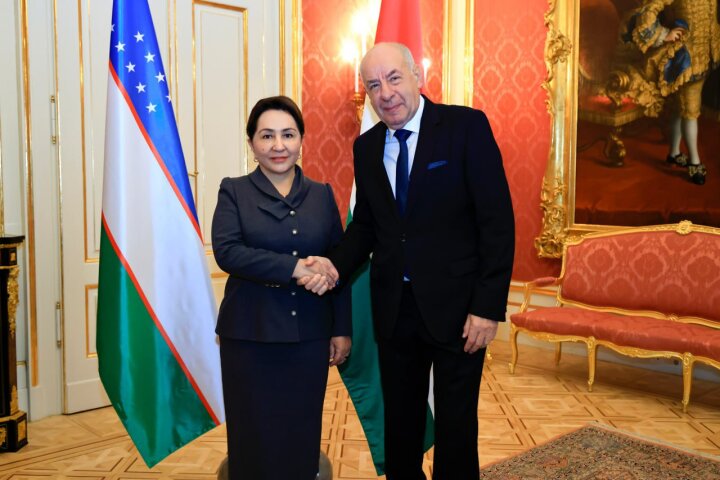 В Будапеште состоялась встреча Танзилы Нарбаевой и Президента Венгрии