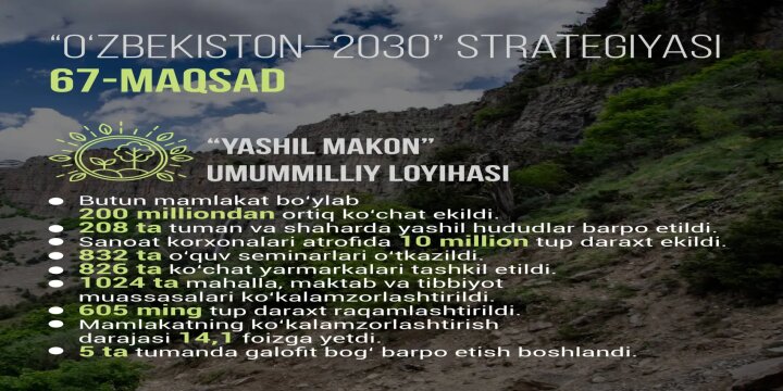 В Узбекистане в 2025 году высадили более 200 млн саженцев
