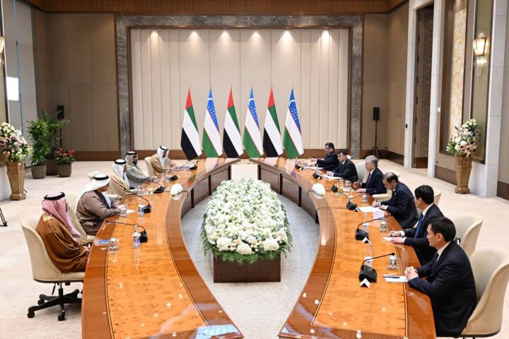 Шавкат Мирзиёев принял делегацию ОАЭ