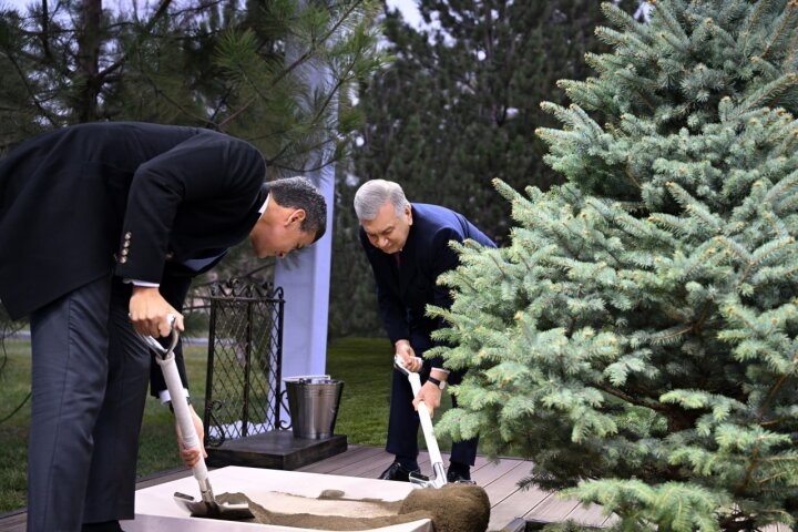 Президенты Узбекистана и Парагвая посадили дерево
