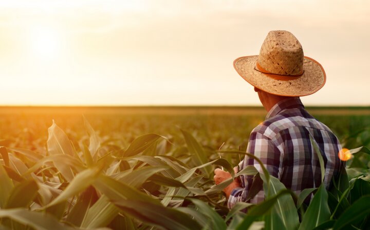 Бизнес-омбудсмен встал на защиту фермеров Сырдарьи, у которых хотят отобрать землю