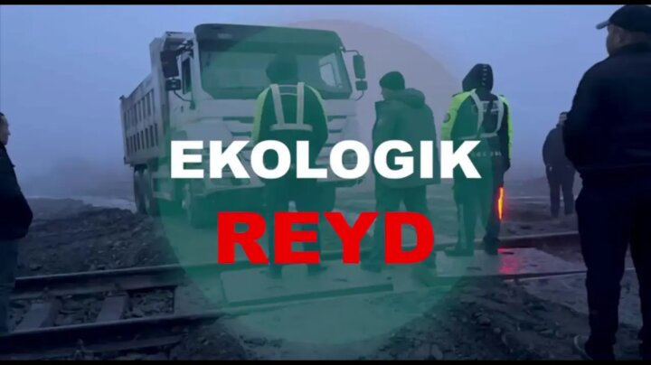 В Самарканде злоумышленники нанесли ущерб природе на сотни млрд сумов