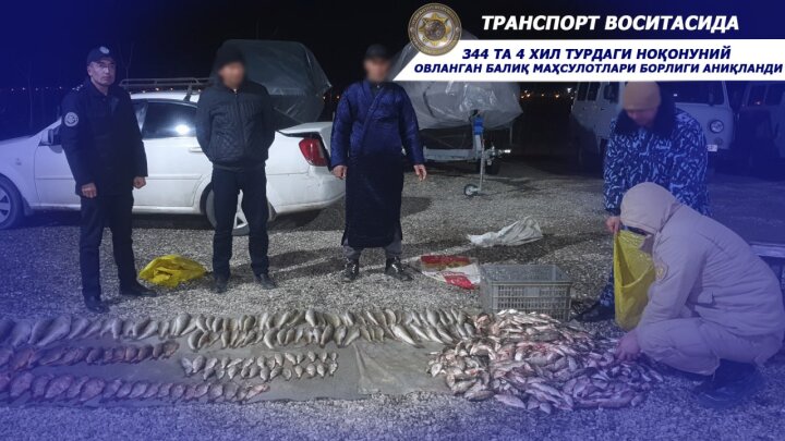 В Джизаке задержали браконьеров с крупной партией рыбы