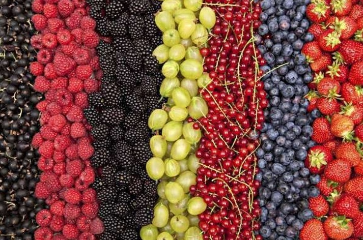 В 2025 году Узбекистан произвёл 3 479 624 тонны фруктов и ягод