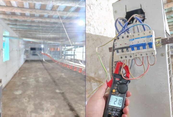 В Джизаке на птицеферме украли огромное количество электроэнергии