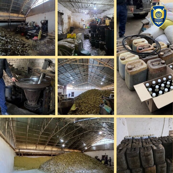 В Кашкадарье выявили подпольные цехи по производству хлопкового масла, непригодного к употреблению