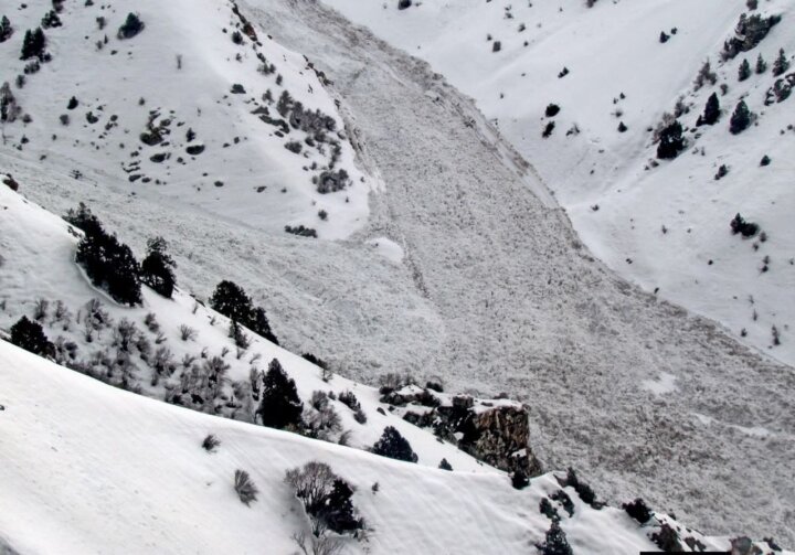 В горах Чимгана сошли несколько снежных лавин