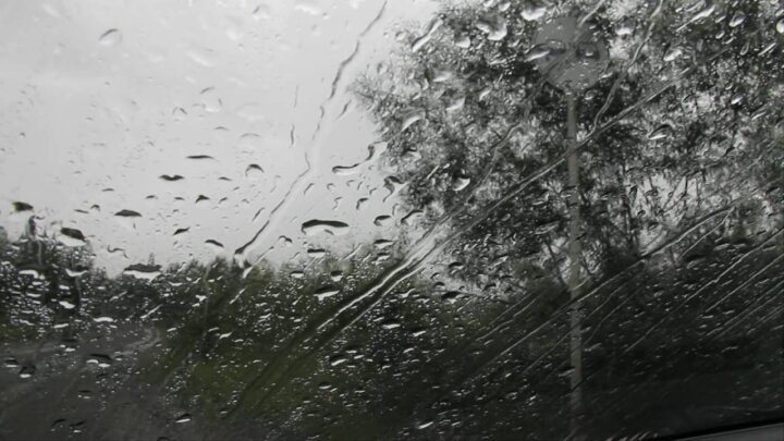 В Узбекистане ожидаются три дня обильных осадков