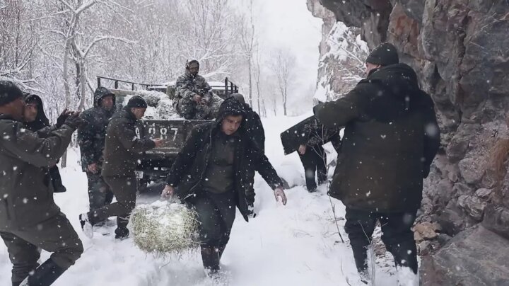 Экологи Узбекистана помогают выжить диким животным в зимний период